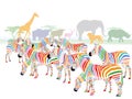 Colorful striped zebra illustration