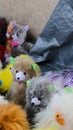 colorful stuffed dogs