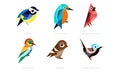 Colorful Stylized Birds Collection, Great Tit, Kingfisher, Northern Cardinal, Bee Eater, Sparrow, Superb Fairy Wren Royalty Free Stock Photo