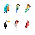 Colorful Stylized Birds Collection with Kingfisher, Long-tailed Broadbill, Bee-eater, Toucan, Myzomela and Northern Royalty Free Stock Photo