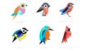 Colorful Stylized Birds Collection, Lilac Breasted Roller, Bullfinch, Red Bellied Pitta, Great Tit, Kingfisher, Northern Royalty Free Stock Photo