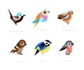 Colorful Stylized Birds Collection with Superb Fairy Wren, Lilac-breasted Roller, Common Chaffinch, Sparrow, Great Tit