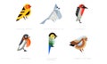 Colorful Stylized Birds Collection, Western Tanager, European Crested Tit, Myzomela, Flame Robin, Long Tailed Broadbill