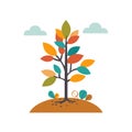 Colorful stylized tree vector illustration, autumn fall concept. Simplistic design, seasonal plant Royalty Free Stock Photo