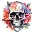 Colorful Sugar Skull rose coloring Watercolor on white background. AI generated illustration