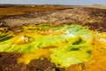 Colorful sulfuric springs in Dallol volcanic area, Danakil depression, Ethiop