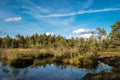 Colorful Sulphur pond trail in the Raganu Witch swamp in Kemeri National Park near Jurmala, Latvia