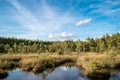 Colorful Sulphur pond trail in the Raganu Witch swamp in Kemeri National Park near Jurmala, Latvia