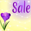 Colorful summer background design with a purple crocus flower Royalty Free Stock Photo