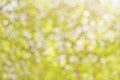 Colorful summer bokeh background in yellow tones. Royalty Free Stock Photo