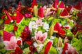 Colorful summer boquets with watermelon wedge spikes - top view Royalty Free Stock Photo