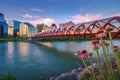 Colorful Summer Flowers By The Bow River