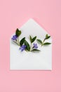 Colorful summer flowers in envelope on pink background.