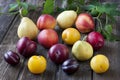 Colorful summer fruits on wooden table Royalty Free Stock Photo
