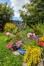 Colorful summer garden Royalty Free Stock Photo