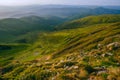 Colorful summer landscape in the Carpathian mountains. Royalty Free Stock Photo