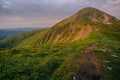 Colorful summer landscape in the Carpathian mountains. Royalty Free Stock Photo