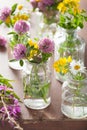 Colorful summer medical flowers and herbs in jars