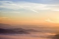 Colorful summer morning with golden light and fog