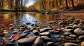 Vibrant Autumn River With Rocks And Fallen Leaves Royalty Free Stock Photo