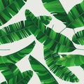 Colorful summer seamless tropical pattern with banana leaves Royalty Free Stock Photo