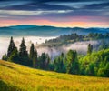 Colorful summer sunrise in Carpathian mountains. Royalty Free Stock Photo