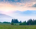 Colorful summer sunrise in the Carpathian mountains. Royalty Free Stock Photo
