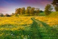 Colorful summer sunrise in countryside with road Royalty Free Stock Photo