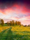 Colorful summer sunrise in countryside with road Royalty Free Stock Photo