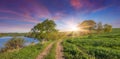 Colorful summer sunrise with road near lake Royalty Free Stock Photo