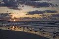 Colorful summer sunset on the Baltic sea by the gulls on the beach