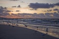 Colorful summer sunset on the Baltic sea by the gulls on the beach