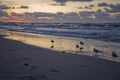 Colorful summer sunset on the Baltic sea by the gulls on the beach