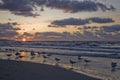 Colorful summer sunset on the Baltic sea by the gulls on the beach Royalty Free Stock Photo