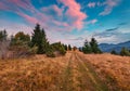 Colorful summer sunset in Carpathian mountains. Landscape photography. Royalty Free Stock Photo