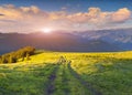 Colorful summer sunset in the Carpathian mountains.