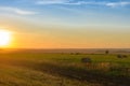 summer sunset over a mown field