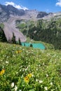 Colorful summer wildflowers along the Blue Lakes Trail in the San Juan Mountains of Colorado Royalty Free Stock Photo