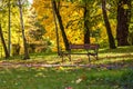 Colorful sunny autumn in a park