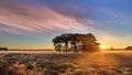 Colorful sunrise with dramatic clouds at Regte Heide heath land, Netherlands