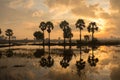 Colorful sunrise landscape with silhouettes of palm trees. Royalty Free Stock Photo