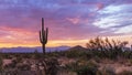 Colorful Sunrise In North Scottsdale Desert Preserve with Saguaro Cactus and Mountains in background