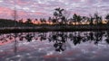 Colorful sunrise over bog, dark bog tree silhouettes, gorgeous sky reflections in dark bog lake, cold autumn morning, first frost Royalty Free Stock Photo