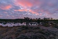 Colorful sunrise over bog, dark bog tree silhouettes, gorgeous sky reflections in dark bog lake, cold autumn morning, first frost Royalty Free Stock Photo