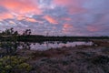 Colorful sunrise over bog, dark bog tree silhouettes, gorgeous sky reflections in dark bog lake, cold autumn morning, first frost Royalty Free Stock Photo