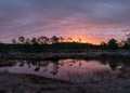 Colorful sunrise over bog, dark bog tree silhouettes, gorgeous sky reflections in dark bog lake, cold autumn morning, first frost Royalty Free Stock Photo