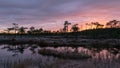 Colorful sunrise over bog, dark bog tree silhouettes, gorgeous sky reflections in dark bog lake, cold autumn morning, first frost Royalty Free Stock Photo