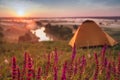 Colorful sunrise over tourist tent in camp among meadow Royalty Free Stock Photo