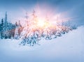 Colorful sunrise scene in misty mountain forest.