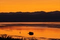 Colorful sunrise on the sea, Grado lagoon, visible mountains and the silhouette of a small sea bird, heron. Royalty Free Stock Photo